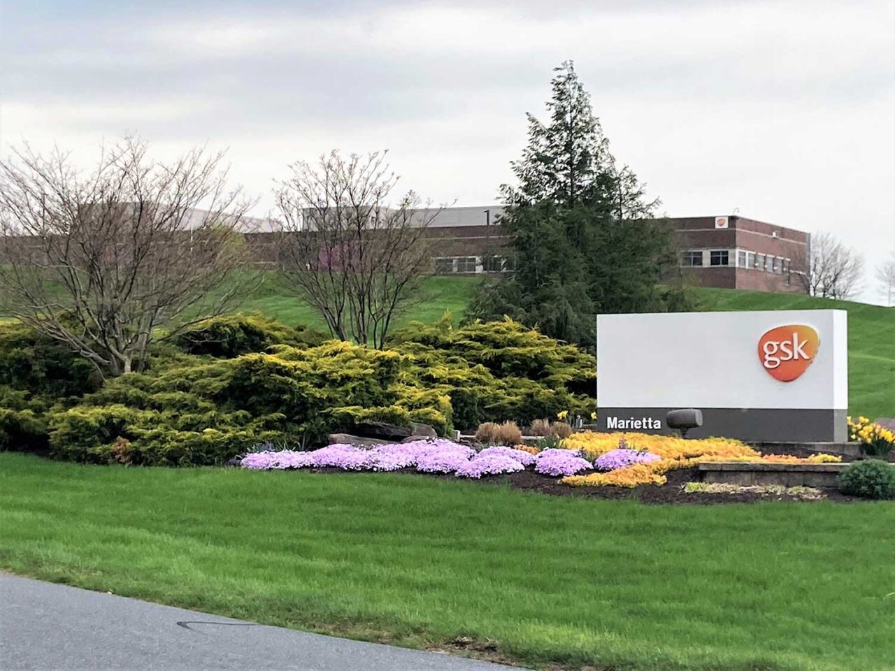 TRG Project Pedestrian Safety Study